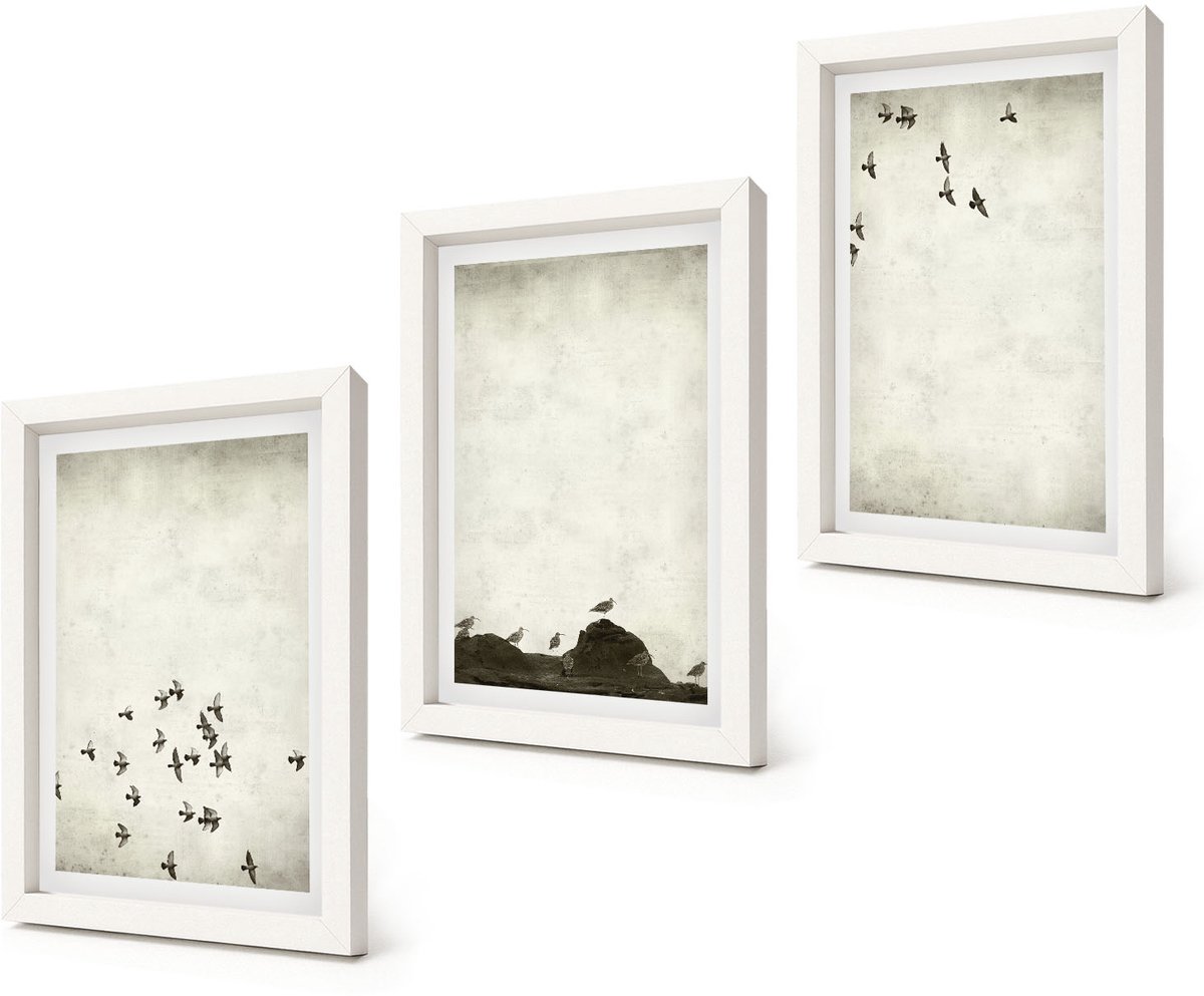 Coloray 3-Delige Schilderij Set - Vogels in vlucht, geschilderd in minimalistische stijl. - 20x30 - Decoratieve Schilderijen - Wanddecoratie - Hal - Woonkamer Decoratie