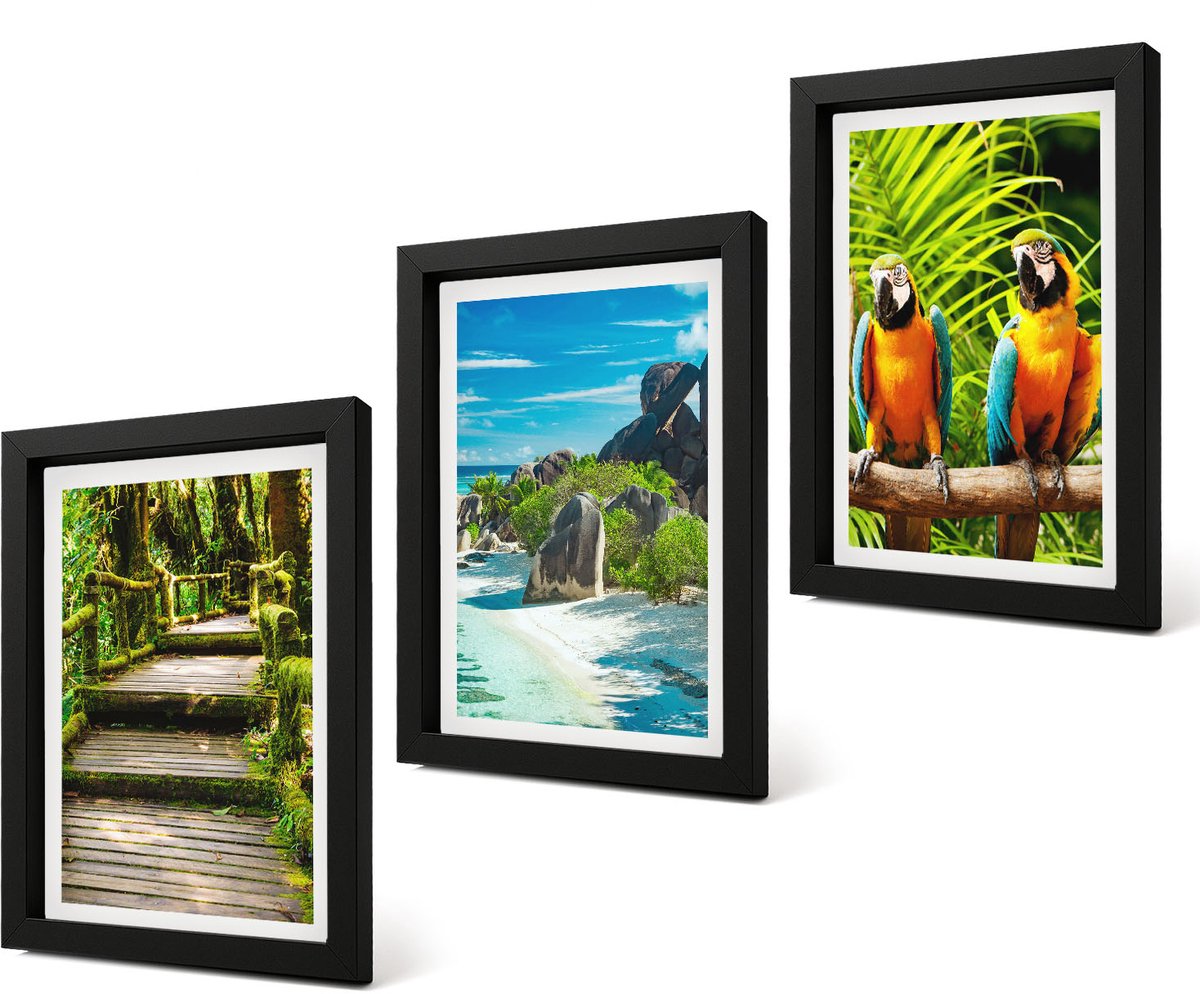 Coloray 4-Delige Schilderij Set - Tropisch bos met waterval en kleurrijke papegaaien - 20 x 30 cm - Wanddecoratie - Woonkamer Decoratie - Muurdecoratie