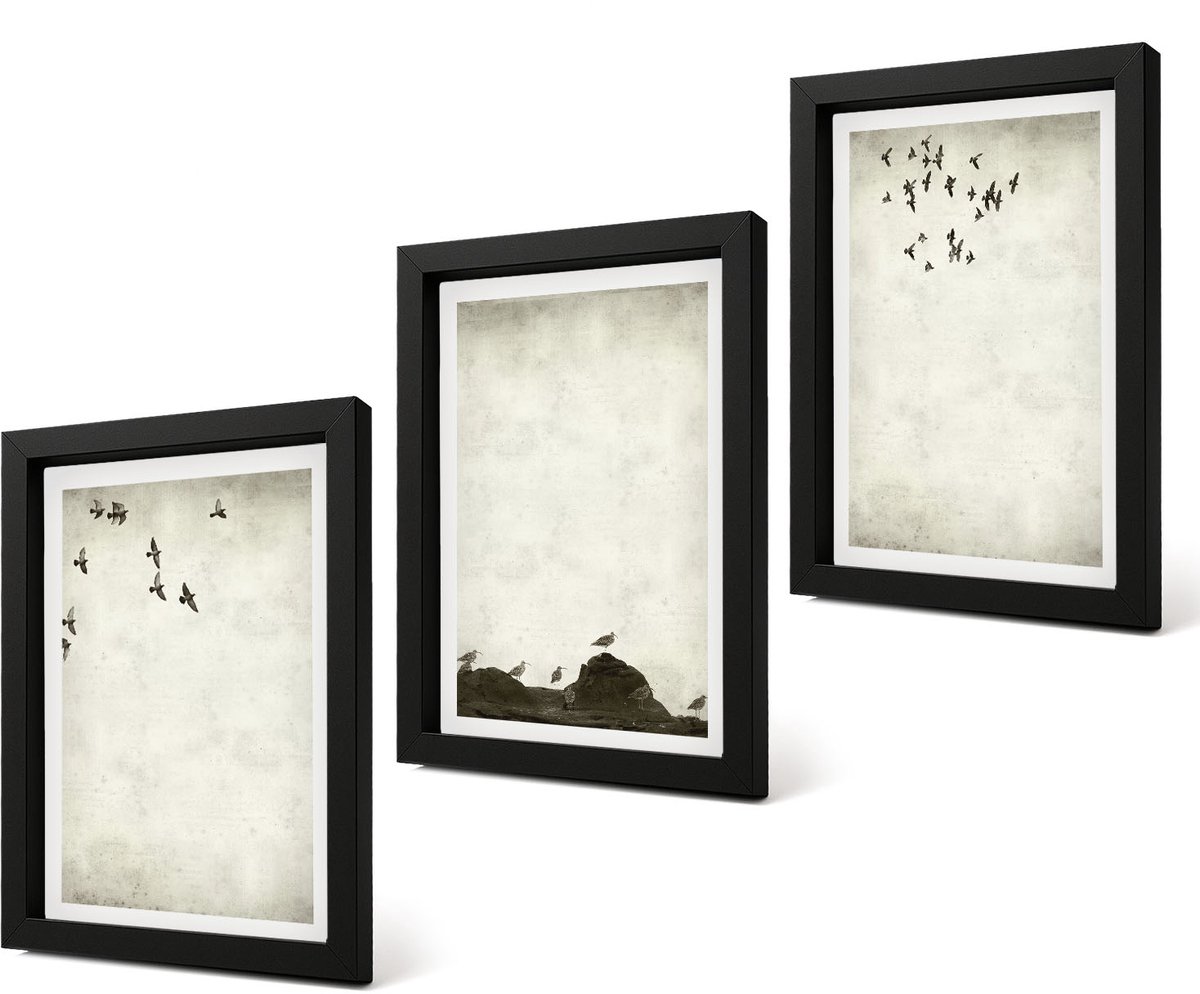 Coloray 4-Delige Schilderij Set - Vliegende zwerm vogels in minimalistische stijl - 20 x 30 cm - Schilderijen Set - Wanddecoratie - Woonkamer - Decoratieve Schilderijen