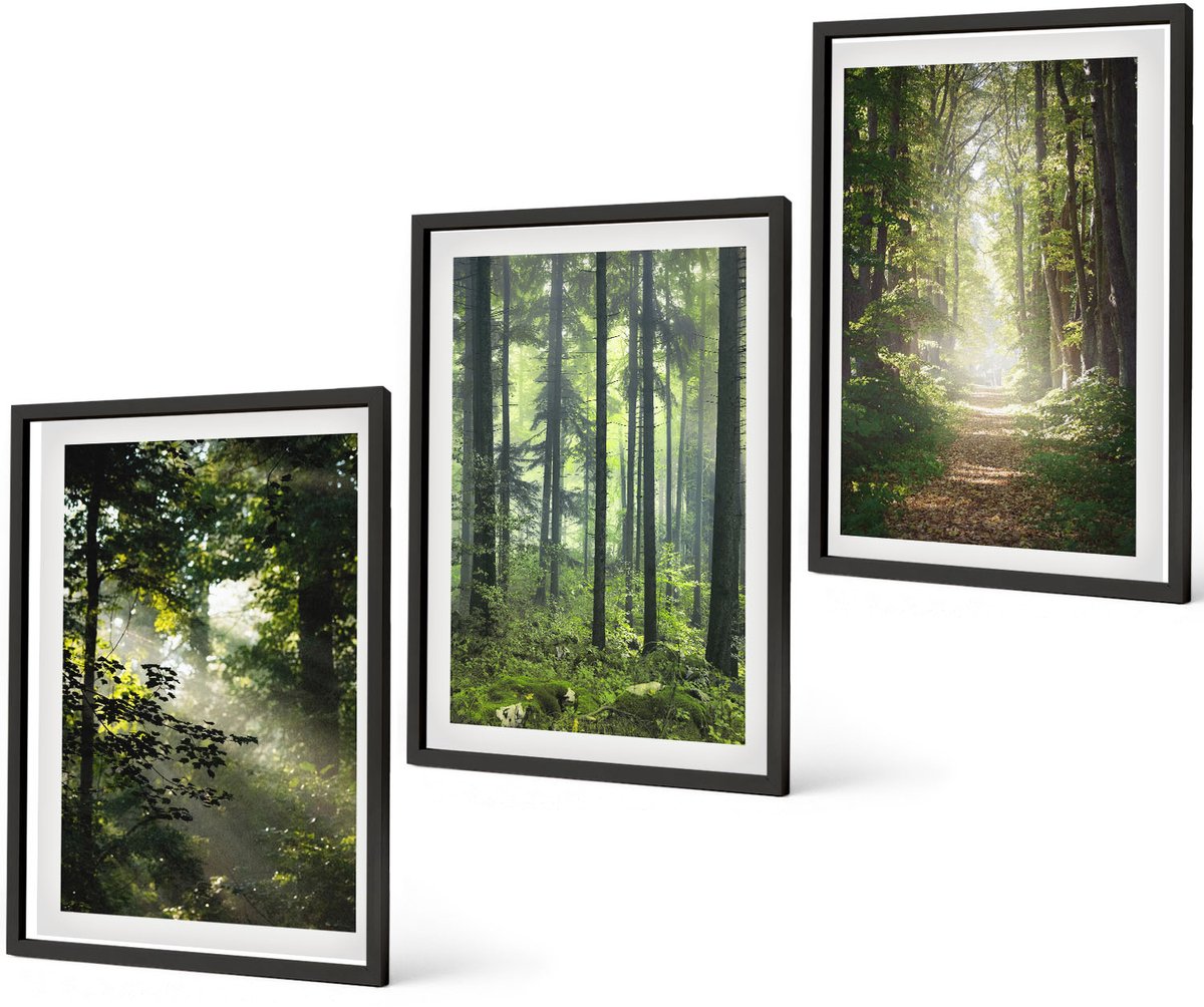 Coloray 3-Delige Schilderij Set - Groene Bossen Met Zonnestralen En Een Bospad - 40 x 60 cm - Wanddecoratie - Muurdecoratie - Moderne Interieurdecoratie