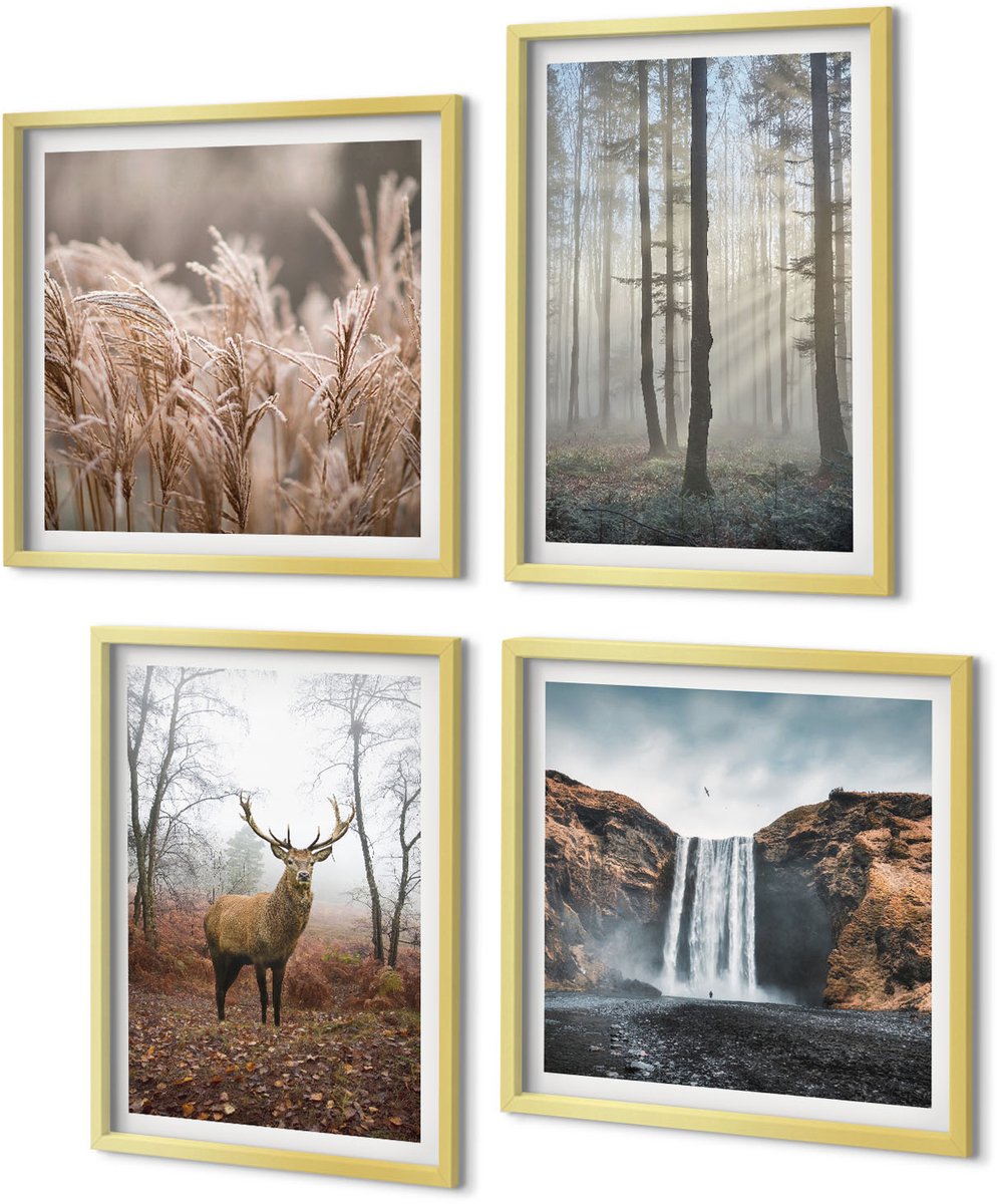 Coloray 4-Delige Schilderij Set - Boslandschappen Wilde natuur Herten - 40 x 40 cm en 40 x 60 cm - Wanddecoratie - Schilderijen Set - Kantoor - Stijlvolle Muurdecoratie