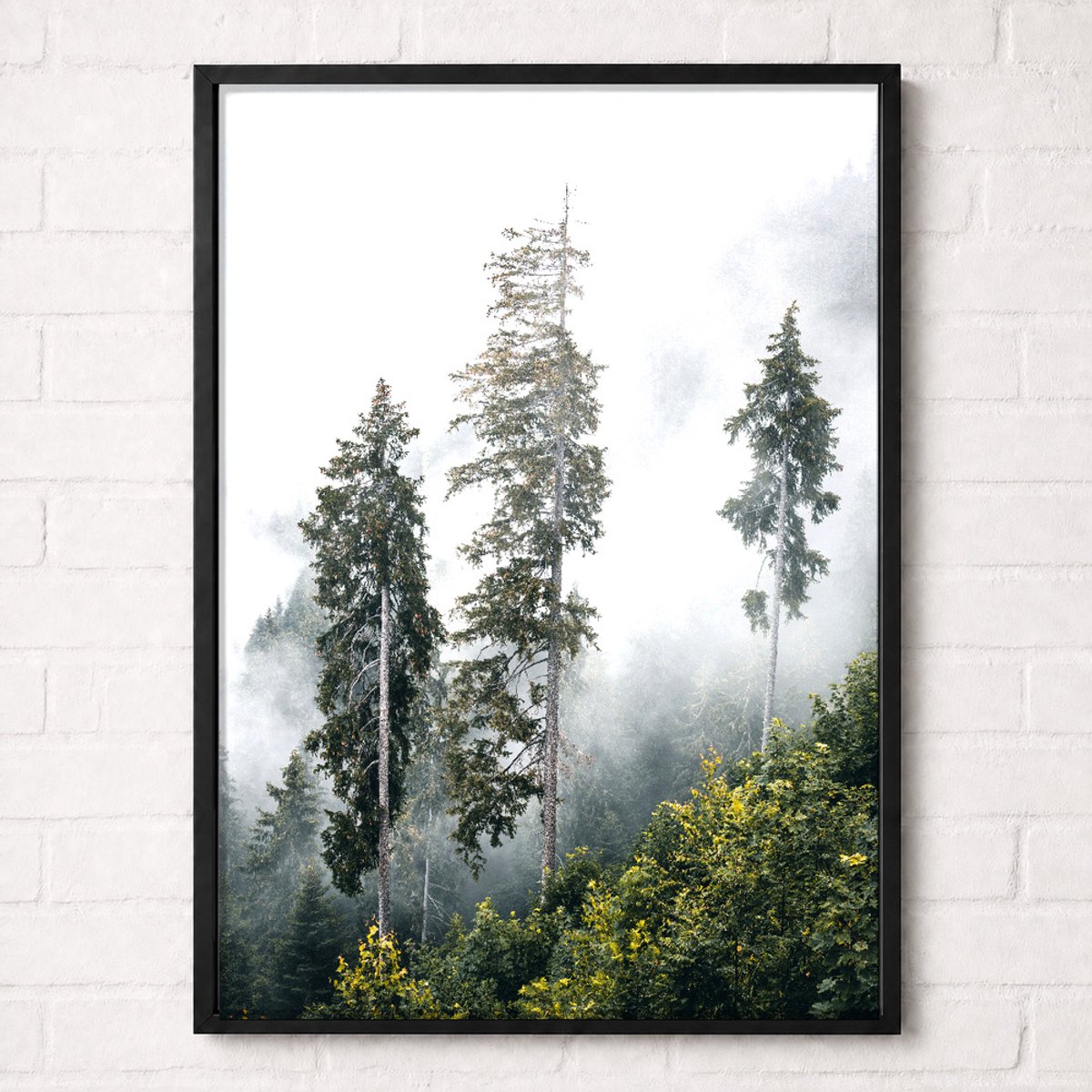 Hoge Dennenbomen in de Mist Poster - Misty Forest Collection - Natuur Posters - A2+ 43,2 x 61 cm