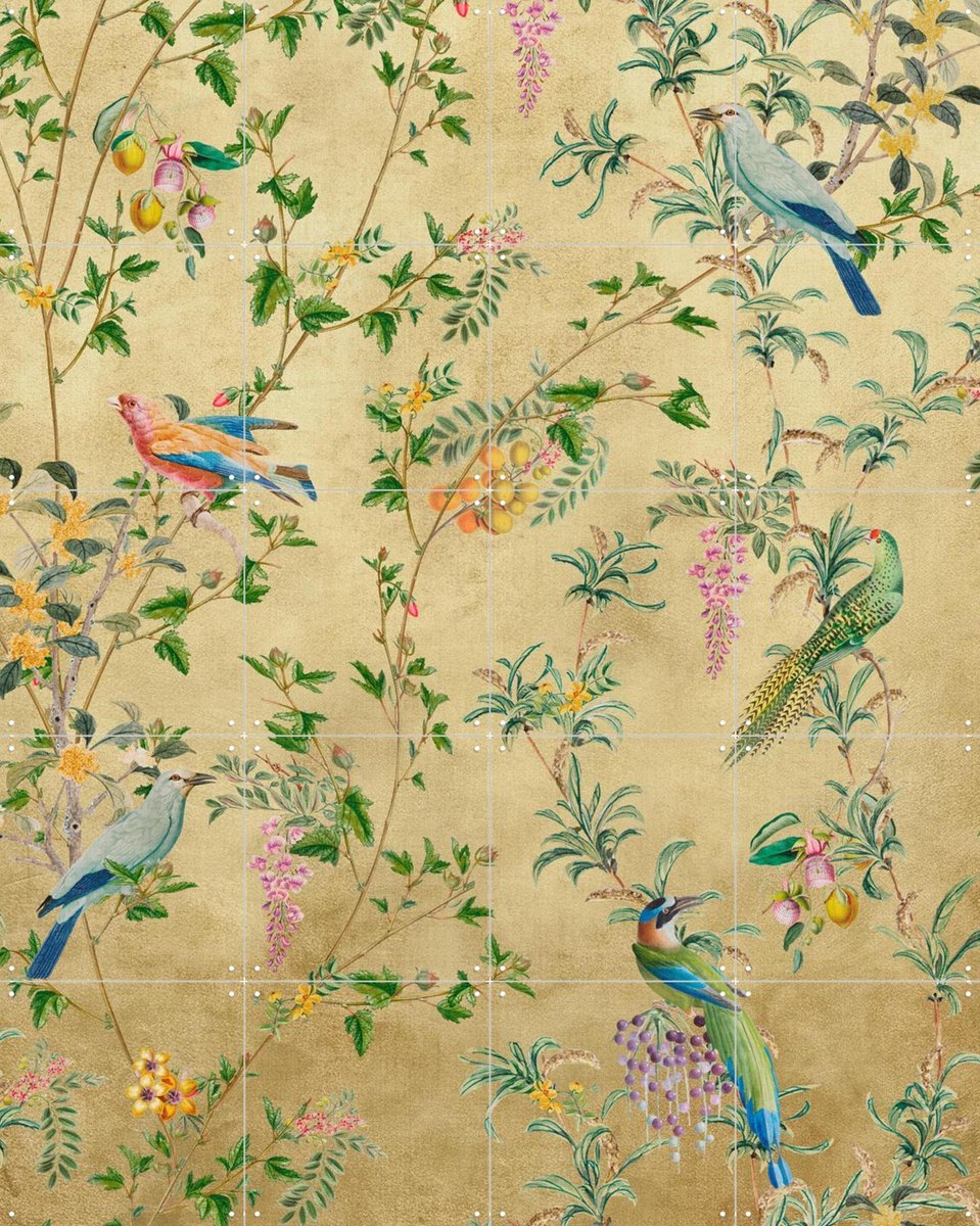 IXXI Vintage Birds and Climbing Vines, Bloomery Decor - 80 x 100 cm - Gratis ophangtool - Grote wanddecoratie en posters - Vintage, Klassiek