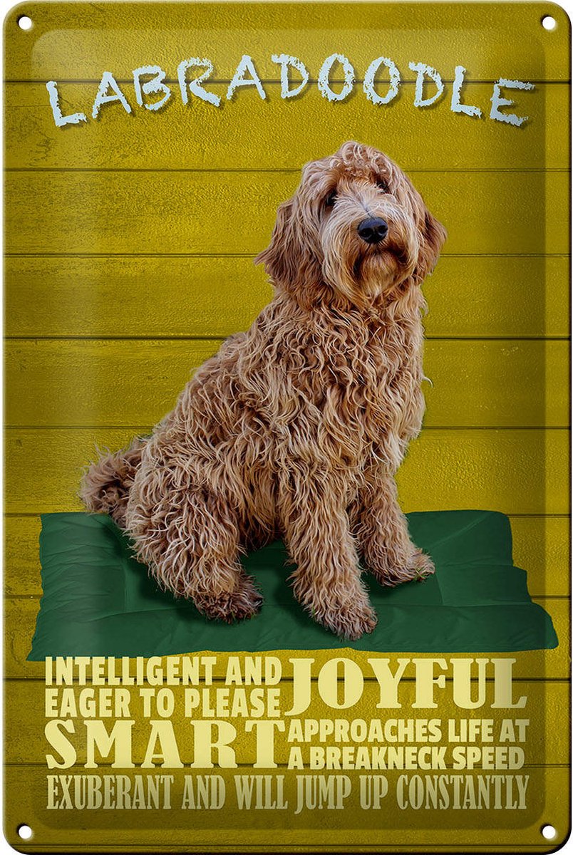 Blechschild Spruch 20x30cm Labradoodle Hund will jump up
