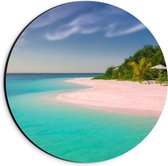 Dibond Wandcirkel - Tropisch Strand met Palmbomen - 20x20cm Foto op Aluminium Wandcirkel (met ophangsysteem)
