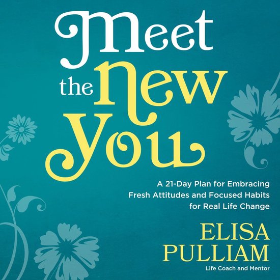 Meet the New You - cover