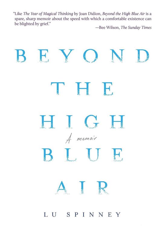 Beyond the High Blue Air - cover