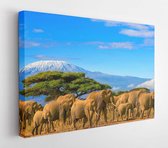 A flock of African elephants on a safari trip to Kenya and a snow covered Mount Kilimanjaro in Tanzania under a cloudy blue sky. - Modern Art Canvas - Horizontal -678502927 - 50*40