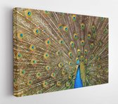 Motif oiseau vert coloré - Toile d' Art moderne - Horizontal - 45911 - 115 * 75 Horizontal