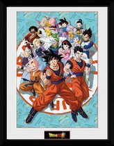 Poster - Dragon Ball Super Universe Group - 40 X 30 Cm - Multicolor