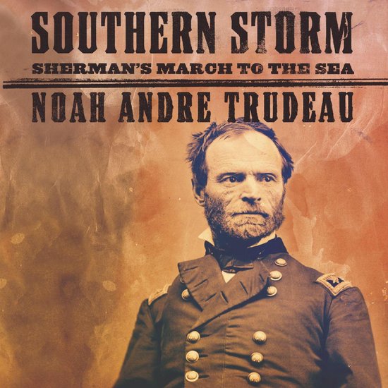 Southern Storm - cover