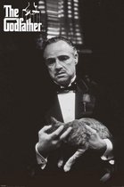 Pyramid The Godfather Black and White Cat  Poster - 61x91,5cm
