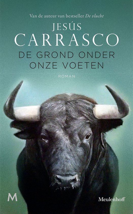 De grond onder onze voeten - cover
