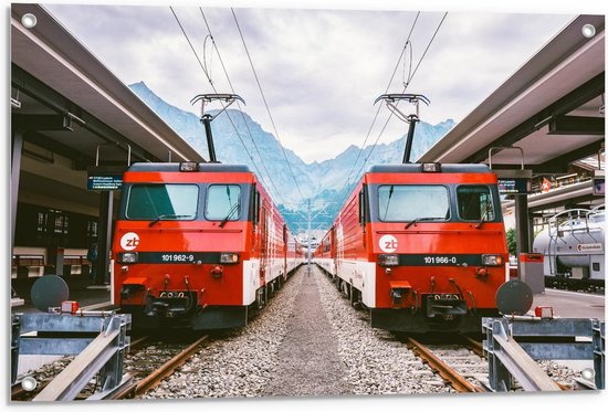 Tuinposter – Twee Rode Treinen in Berggebied - 90x60cm Foto op Tuinposter  (wanddecoratie voor buiten en binnen)