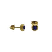 Aramat jewels ® - Ronde zweerknopjes zirkonia donker blauw goudkleurig chirurgisch staal 6mm