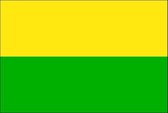 Vlag gemeente 's-Gravenhage 70x100 cm