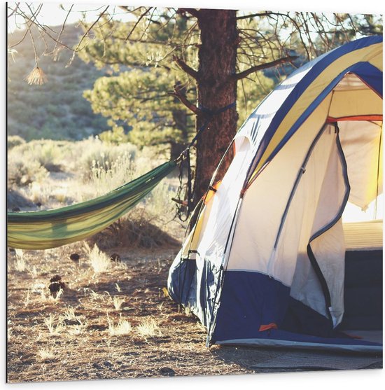 Dibond - Tent met Hangmat in de Bossen - 100x100cm Foto op Aluminium (Wanddecoratie van metaal)