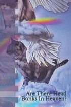 Are There Head Bonks In Heaven?