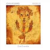 John Aylward: Angelus