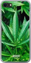 6F hoesje - geschikt voor iPhone SE (2020) - Transparant TPU Case - Mary Jane #ffffff