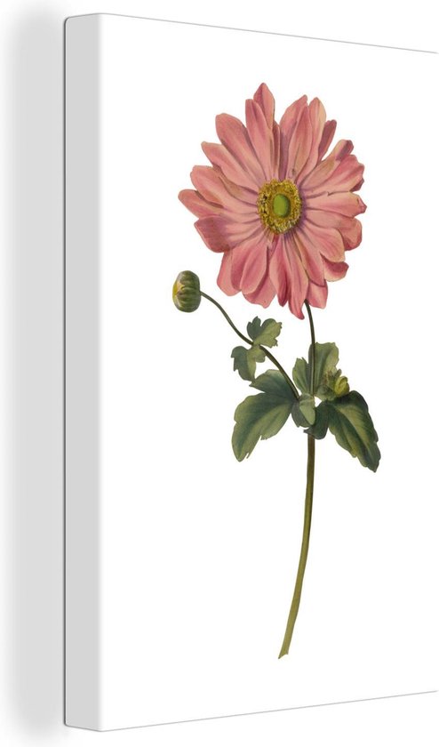 Canvas Schilderij Bloemen - Roze - Wit - 40x60 cm - Wanddecoratie