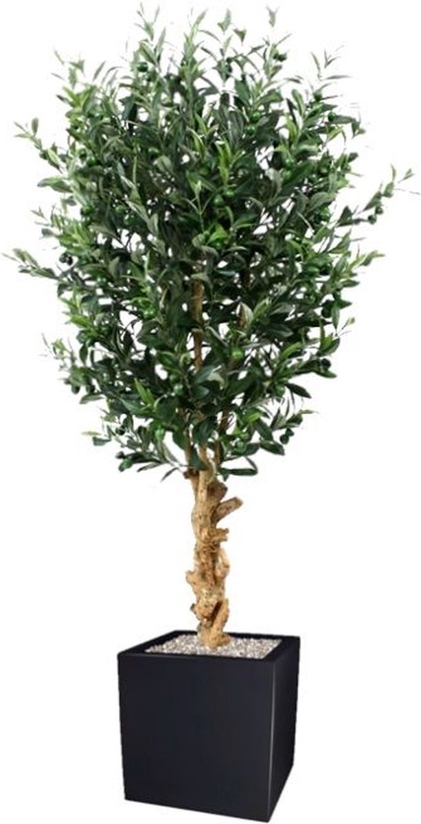 maxifleur Kunstplanten Kunst Olijfboom deluxe 155cm Groen