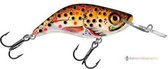 Salmo Sparky Shad - 4 cm - brown holographic trout