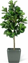 Kunstplant Fiddle Leaf Tree 180 cm