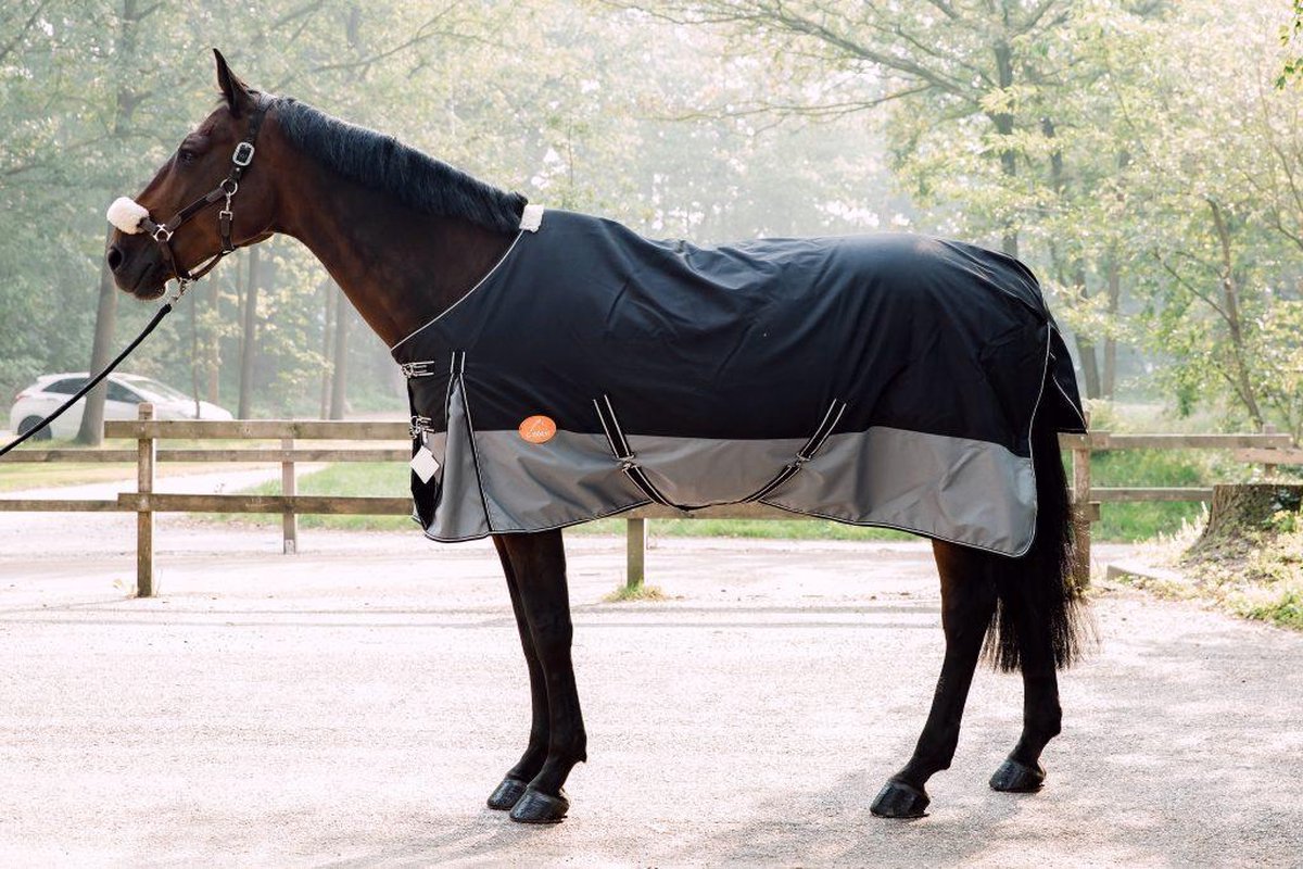 G-Horse - Paardendeken -Outdoor Regen/Winter deken - 0 gram - 145 cm - Zwart/grijs