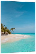 Forex - Tropisch Wit Strand met Blauwe Zee en Palmbomen - 100x150cm Foto op Forex