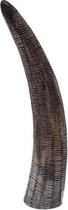 Woonaccessoires - Cow Horn With Engraved Design 25cm Natural