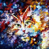 Diamond Painting Confetti poes 20x20cm. (Volledige bedekking - Vierkante steentjes) diamondpainting inclusief tools