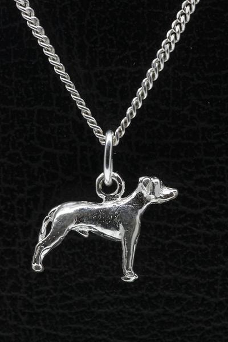 Zilveren Argentijnse dog oren ongecoupeerd ketting hanger - klein