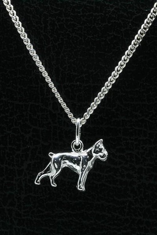 strijd Cater krekel Zilveren Hond ketting hanger | bol.com