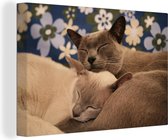 Canvas Schilderij Twee knuffelende Burmese katten - 60x40 cm - Wanddecoratie