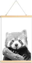 JUNIQE - Posterhanger Red Panda -20x30 /Wit & Zwart