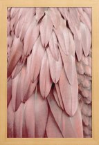 JUNIQE - Poster in houten lijst Pastel Feathers -20x30 /Roze