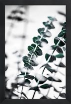 JUNIQE - Poster met houten lijst Eucalyptus 1 -13x18 /Groen & Wit