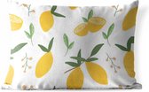 Buitenkussens - Tuin - Abstracte citroenen op een witte achtergrond - 60x40 cm