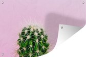 Cactus sur toile de jardin rose affiche en vrac