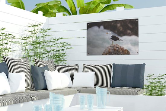 Goéland marin sur rocher 60x40 cm