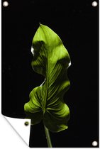 Tuindecoratie Een groen blad op zwarte een achtergrond - 40x60 cm - Tuinposter - Tuindoek - Buitenposter