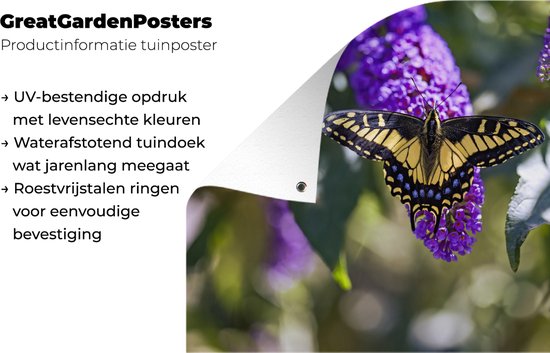 Papilio glaucus jaune sur un buisson à papillons 60x40 cm