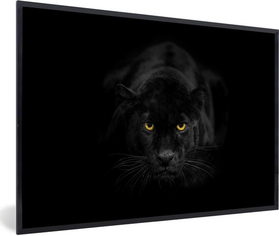 Photo en cadre - Portrait de léopard sur fond noir Cadre photo noir sans  passe-partout... | bol.com