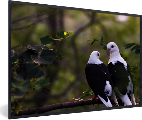 Photo encadrée - Cadre photo Deux oiseaux sur une branche noir sans passe partout 120x80 cm - Affiche encadrée (Décoration murale salon / chambre)