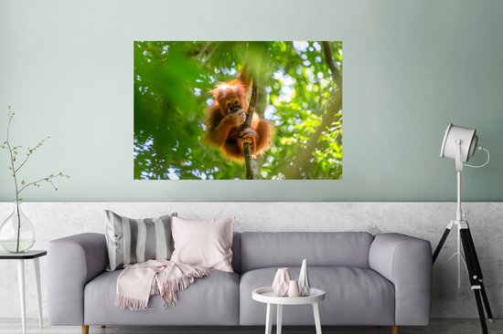 Gros plan d'un singe dans un arbre 180x120 cm XXL / Groot format!