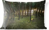 Buitenkussens - Tuin - Zon die door bomen in bos schijnt - 50x30 cm