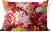 Buitenkussens - Tuin - Mutli gekleurde tulpen - 50x30 cm