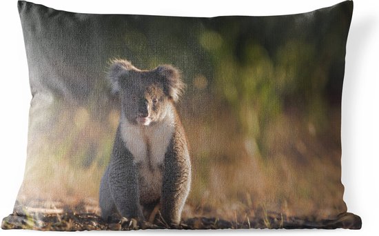 Buitenkussens - Tuin - Een koala bij zonsondergang - 60x40 cm