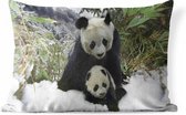 Buitenkussens - Tuin - Moeder panda en welp in de winter - 50x30 cm